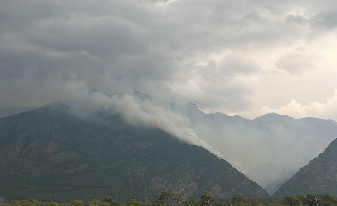 Hatay’ın Arsuz ilçesinde Kale ve Kurtbağı mahallelerinde ormanlık alanlarda çıkan