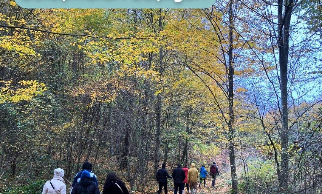 Buğday Derneği, CLAY Projesi kapsamında İzmir ve Hatay’daki gençleri ekolojik