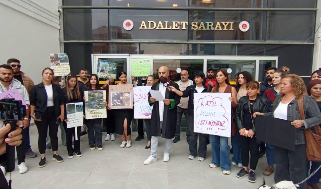 Hatay Barosu Hayvan Hakları Komisyonu, son günlerde Defne Belediyesi’nin sokak