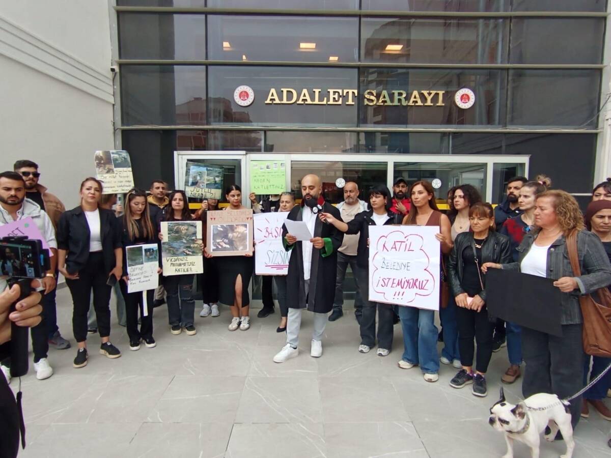 Hatay Barosu Hayvan Hakları Komisyonu, son günlerde Defne Belediyesi’nin sokak