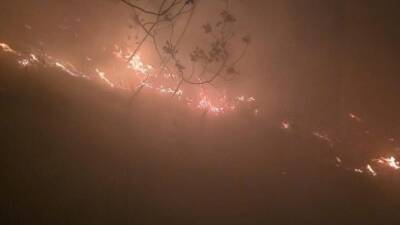 Hatay’ın Arsuz ilçesinde etkili yağış sırasında ormanlık alana düşen yıldırım