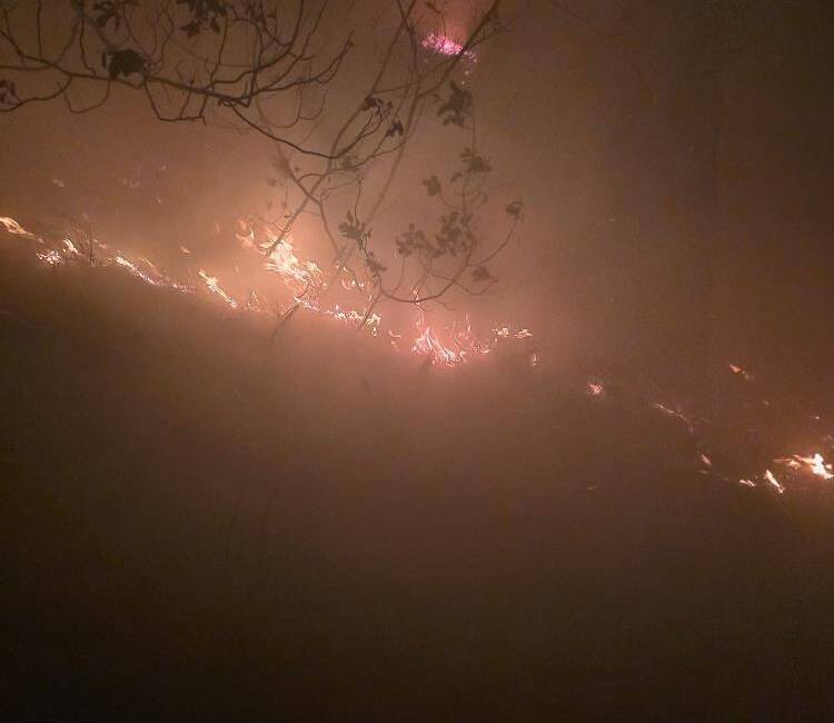 Hatay’ın Arsuz ilçesinde etkili yağış sırasında ormanlık alana düşen yıldırım