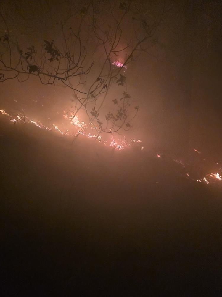 Hatay’ın Arsuz ilçesinde etkili yağış sırasında ormanlık alana düşen yıldırım