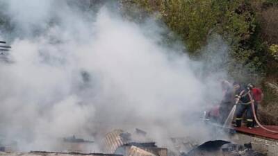 Hatay’ın Yayladağı ilçesine bağlı Şakşak Mahallesi’nde kullanılmayan bir binada çıkan
