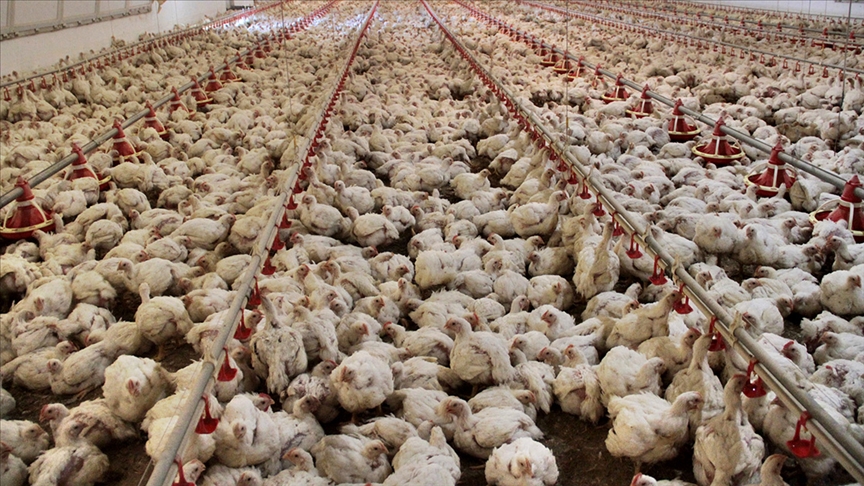 Türkiye İstatistik Kurumu (TÜİK) tarafından açıklanan Eylül 2025 verilerine göre,