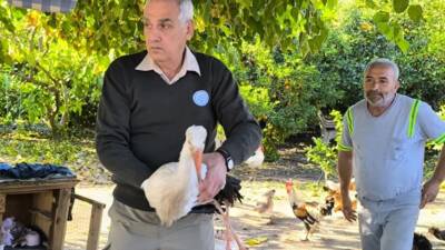 Hatay’ın Dörtyol ilçesinde bitkin halde bulunan bir leylek, Doğa Koruma