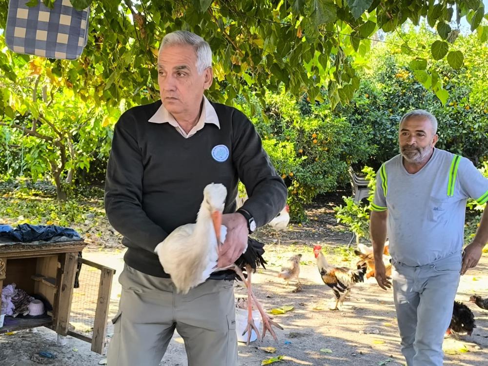 Hatay’ın Dörtyol ilçesinde bitkin halde bulunan bir leylek, Doğa Koruma