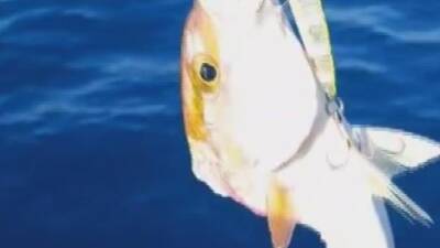 Hatay’da amatör balıkçı Ufuk Ekizoğlu, oltasına takılan devasa köpek balığını