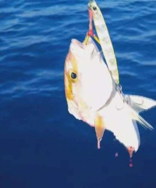 Hatay’da amatör balıkçı Ufuk Ekizoğlu, oltasına takılan devasa köpek balığını