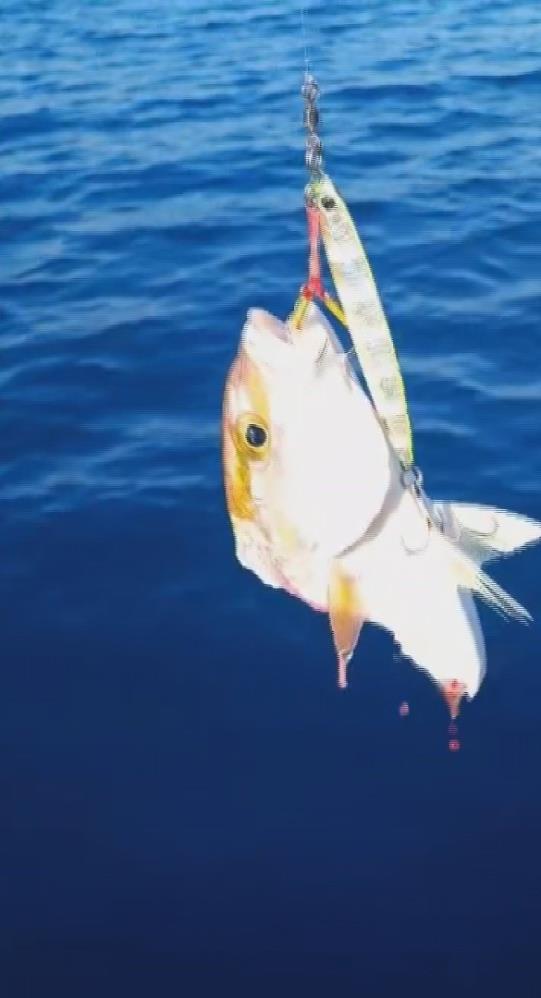 Hatay’da amatör balıkçı Ufuk Ekizoğlu, oltasına takılan devasa köpek balığını