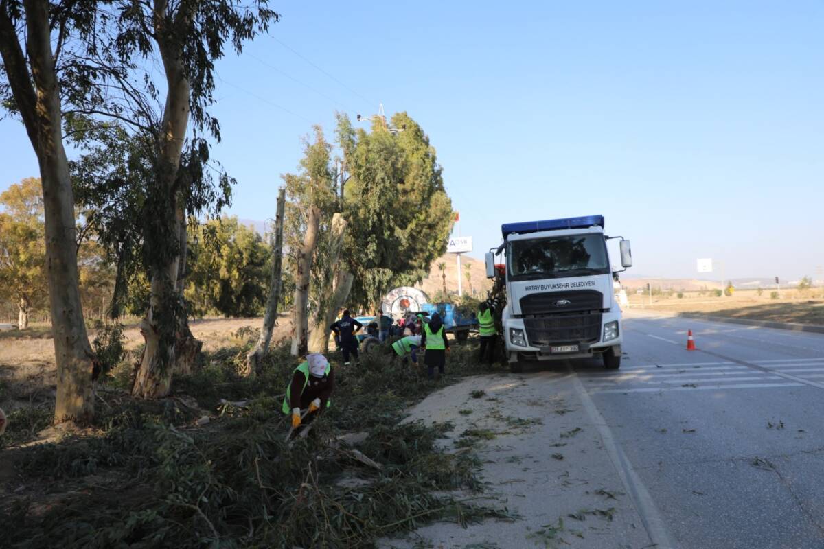 Hatay Büyükşehir Belediyesi (HBB), şehrin estetik görünümünü artırmak ve çevre