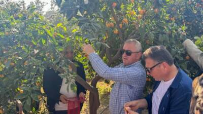 Hatay'ın İskenderun ilçesinde "File Bizden Hasat Senden Narenciye Festivali" düzenlendi.