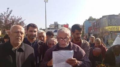 Samandağ’da mandalina üreticileri, dalında kalan ürünler ve yükselen maliyetler nedeniyle