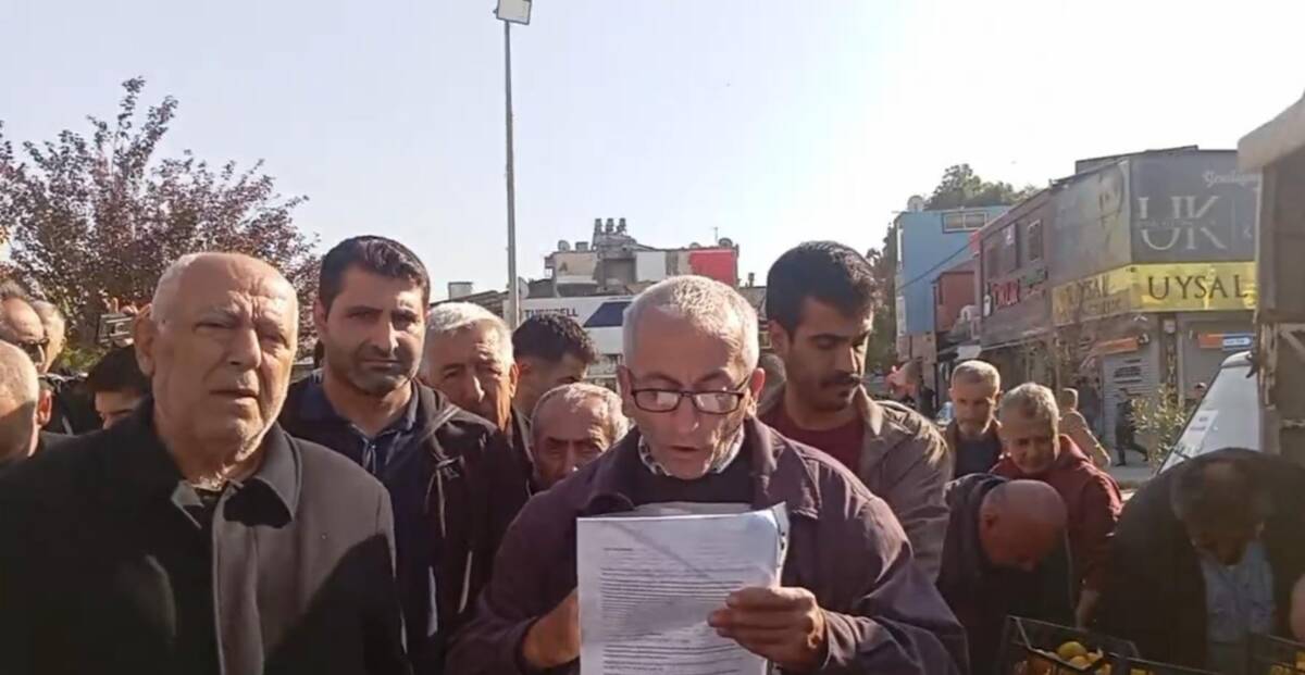 Samandağ’da mandalina üreticileri, dalında kalan ürünler ve yükselen maliyetler nedeniyle