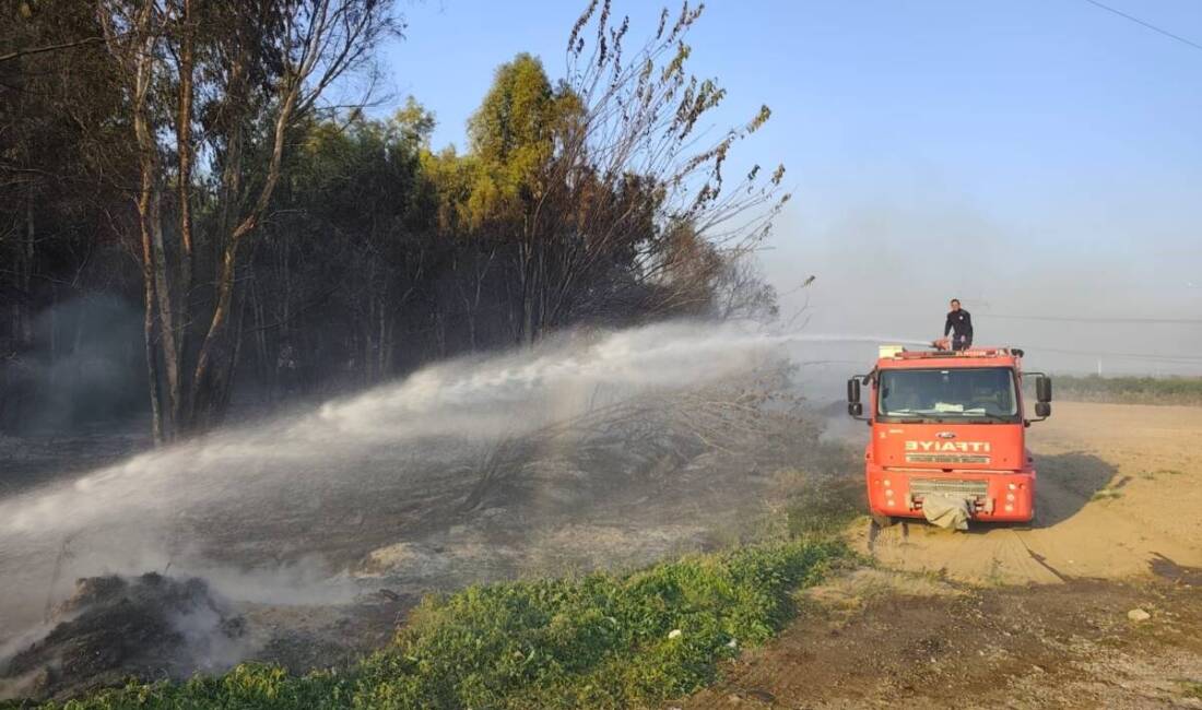 Hatay’ın Erzin ilçesinde ağaçlık alanda çıkan yangın büyümeden söndürüldü. Yukarıburnaz