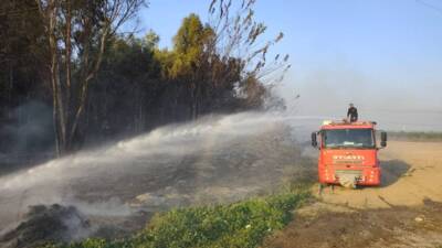 Hatay’ın Erzin ilçesinde ağaçlık alanda çıkan yangın büyümeden söndürüldü. Yukarıburnaz