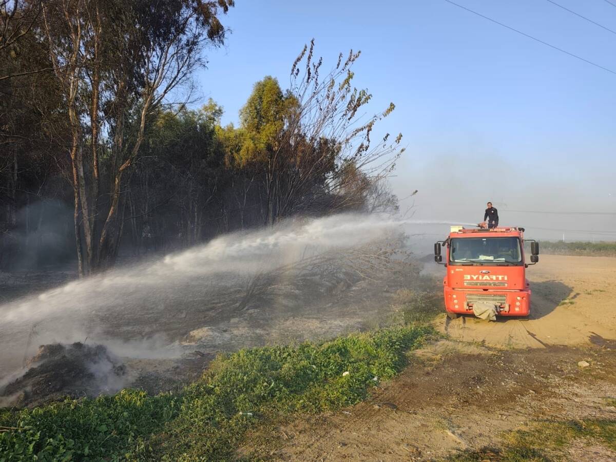 Hatay’ın Erzin ilçesinde ağaçlık alanda çıkan yangın büyümeden söndürüldü. Yukarıburnaz
