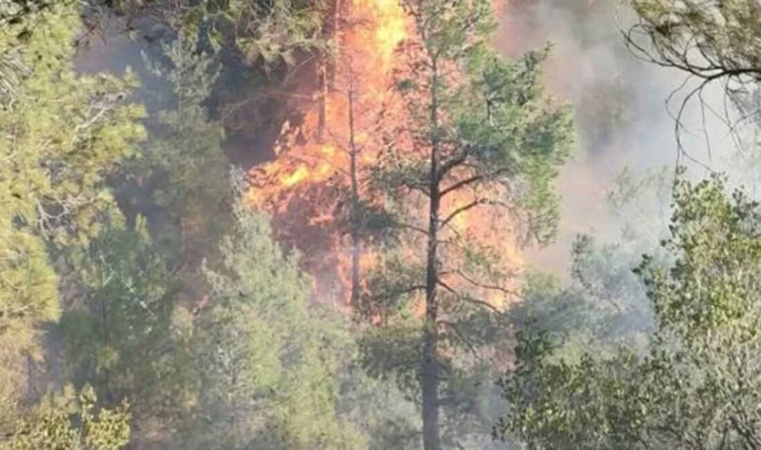 Hatay’ın Belen ilçesinde ormanlık alanda çıkan yangına ekipler karadan müdahalede