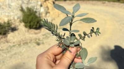 Yayladağı Belediyesi, kadın haklarına dikkat çekmek ve farkındalık oluşturmak amacıyla