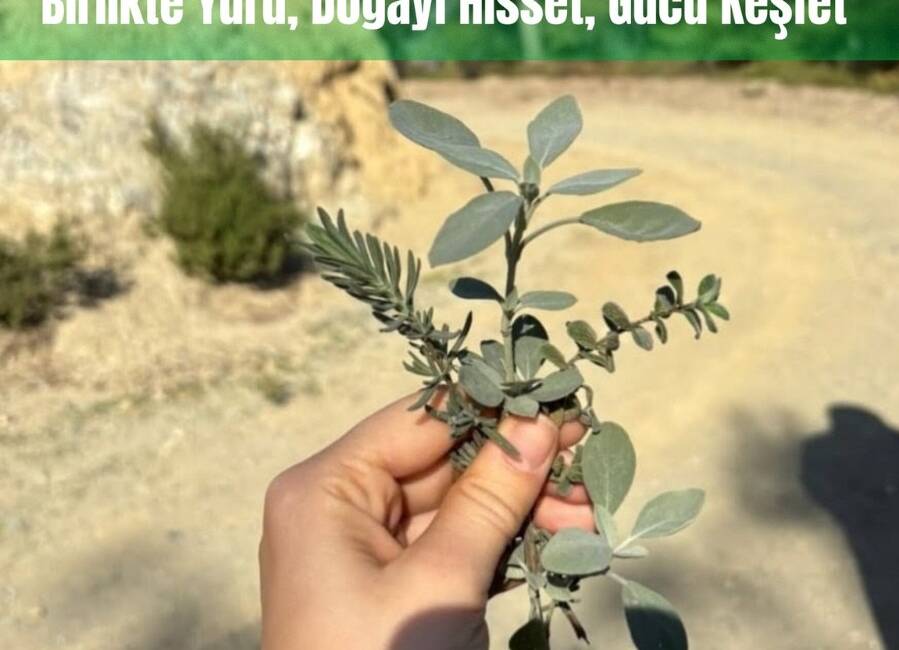 Yayladağı Belediyesi, kadın haklarına dikkat çekmek ve farkındalık oluşturmak amacıyla