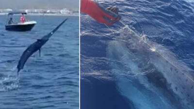 Hatay’ın Dörtyol ilçesinde balıkçılık yapan Mustafa Oktay ve ekibi, Akdeniz