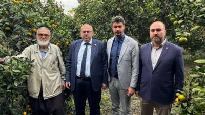 Saadet Partisi Hatay Milletvekili Doç. Dr. Necmettin Çalışkan, bölgedeki narenciye