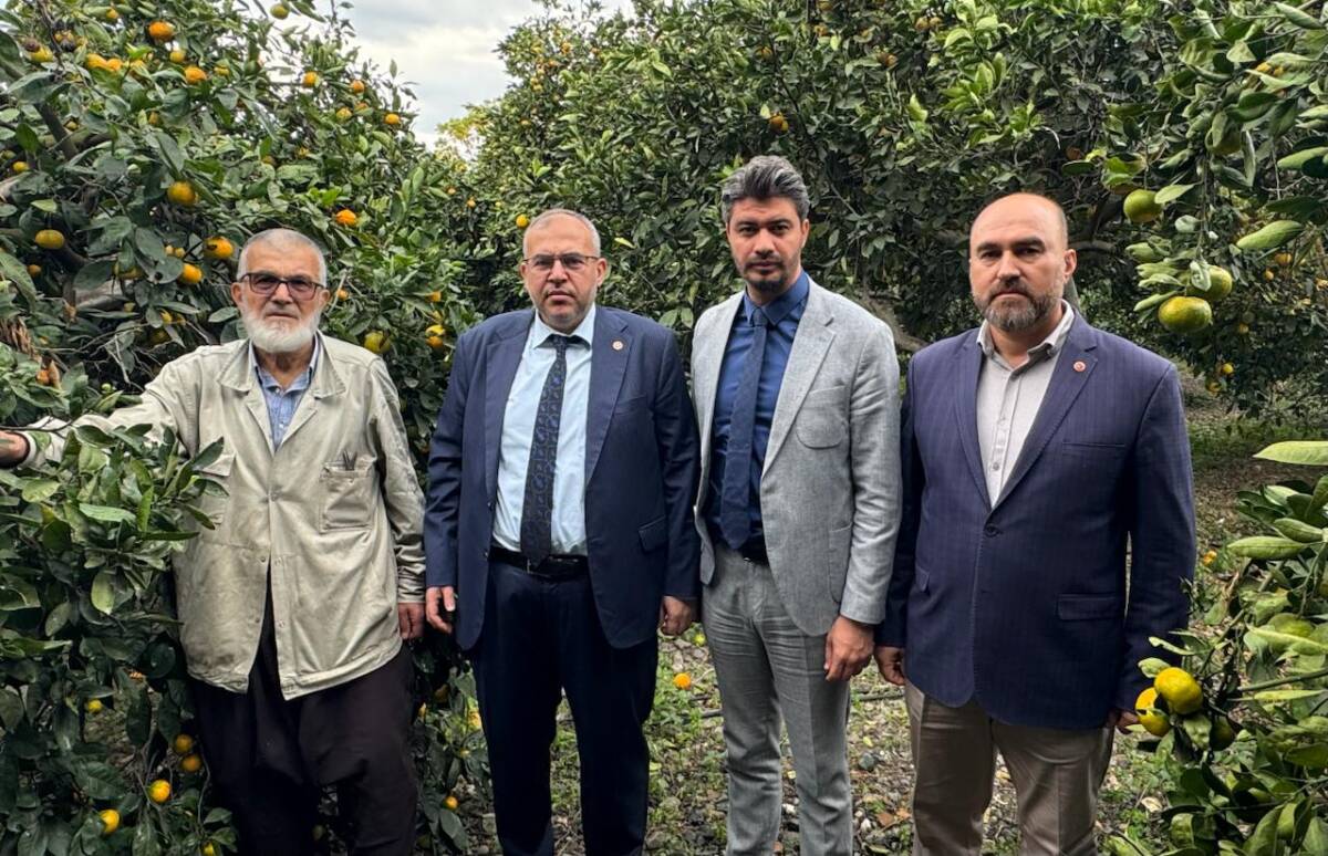 Saadet Partisi Hatay Milletvekili Doç. Dr. Necmettin Çalışkan, bölgedeki narenciye