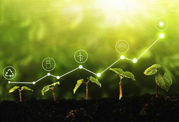 Uzun yıllar boyunca küresel ekonomi, doğal kaynakların bitmeyeceği varsayımı üzerine