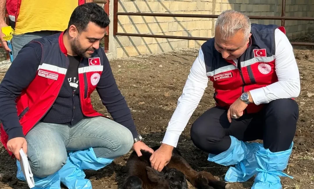 Hatay Tarım ve Orman İl Müdürlüğü, kırsal üretimi güçlendirmek ve