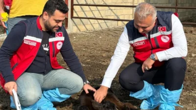 Hatay Tarım ve Orman İl Müdürlüğü, kırsal üretimi güçlendirmek ve