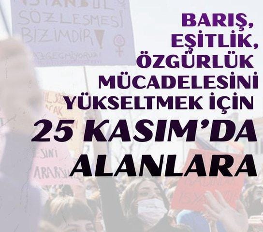 Antakya Kadınlar Birlikte Güçlü Platformu, 25 Kasım Kadına Yönelik Şiddete