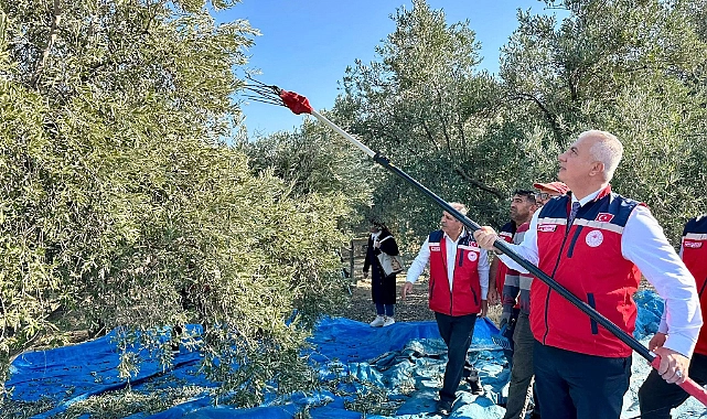 Hatay Tarım ve Orman İl Müdürü Abdurrahman Türkmen, Antakya’da zeytin