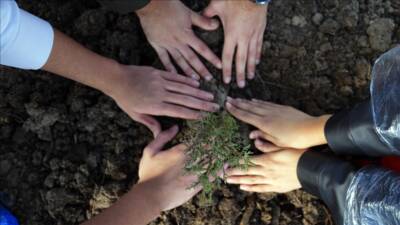 Türkiye, 11 Kasım Milli Ağaçlandırma Günü’nde bu yıl hem katılımcı