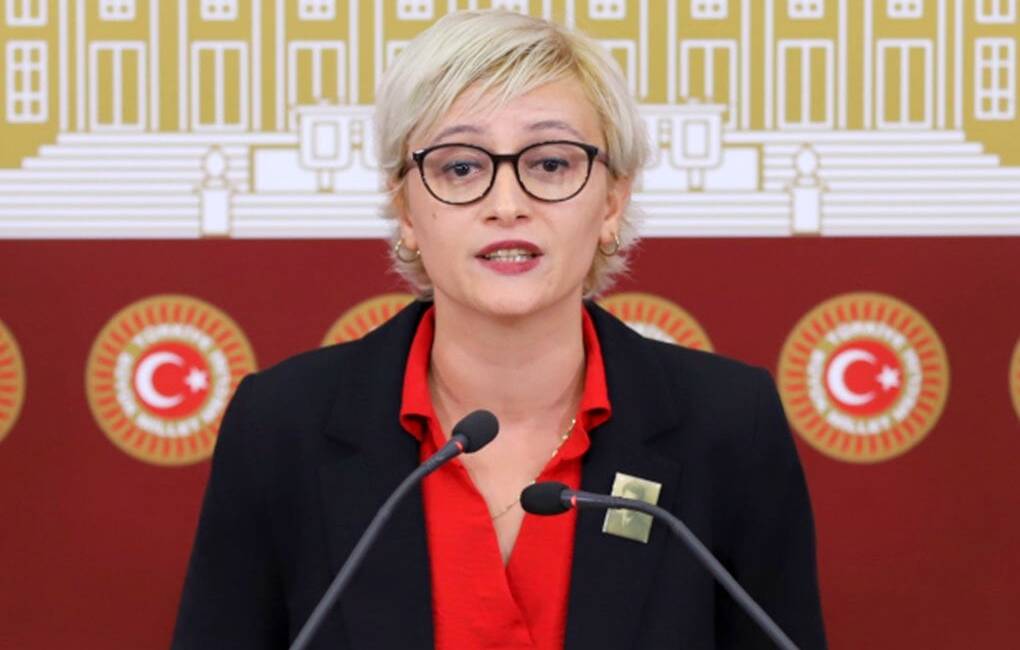 Türkiye İşçi Partisi (TİP) Milletvekili Perihan Koca, TBMM’de yaptığı konuşmada
