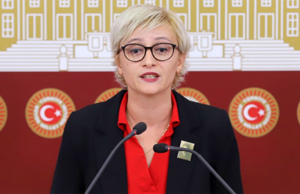 Türkiye İşçi Partisi (TİP) Milletvekili Perihan Koca, TBMM’de yaptığı konuşmada