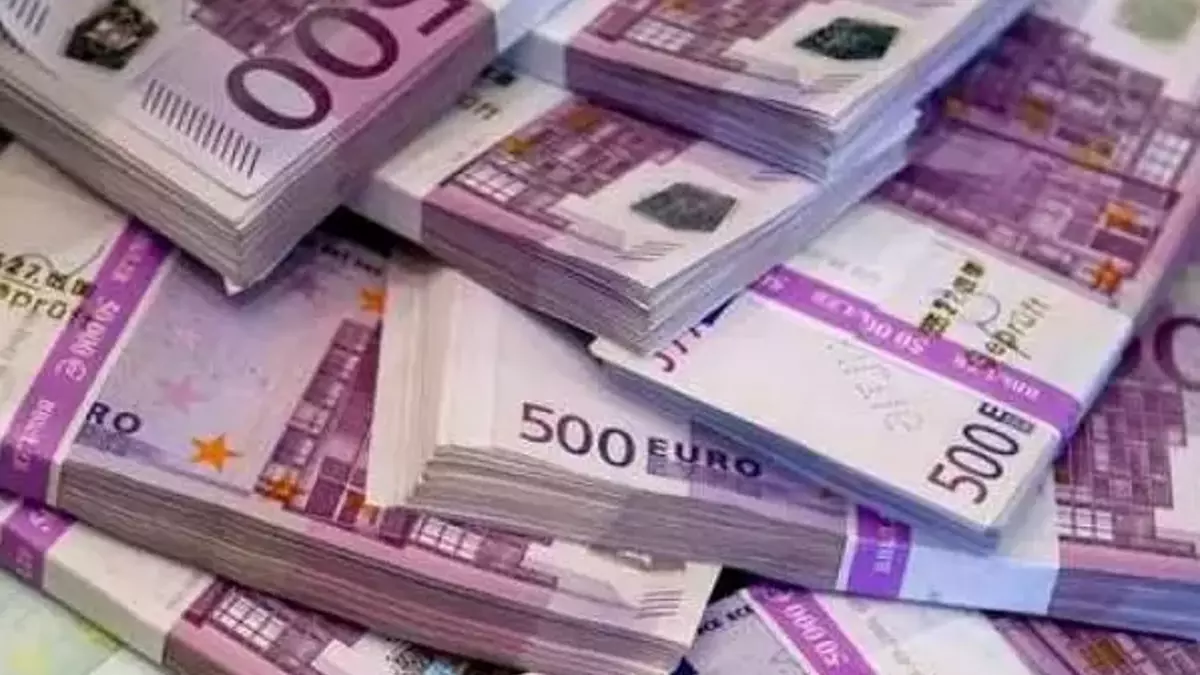 FOSTER / FRIT Hibe Programı başvuruları 1 Aralık Pazartesi günü