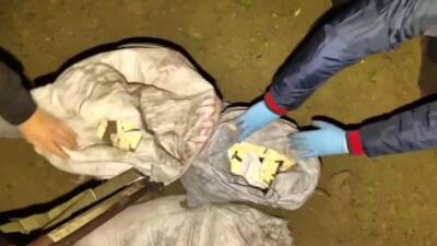 Hatay’da jandarma ekiplerince düzenlenen operasyonda, zeytin bahçesi içerisinde torbada saklanan