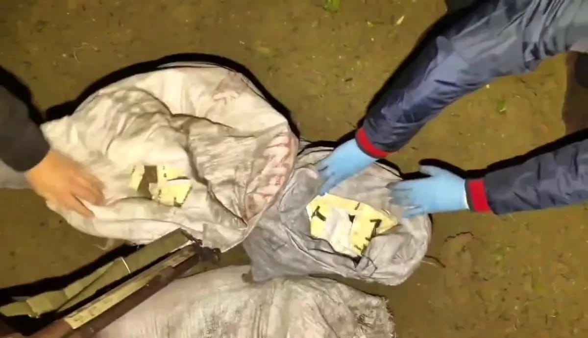 Hatay’da jandarma ekiplerince düzenlenen operasyonda, zeytin bahçesi içerisinde torbada saklanan