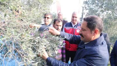 Önemli bir zeytin ve zeytinyağı üreticisi olan ilimiz Hatay genelinde