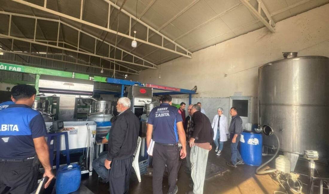 Hatay Büyükşehir Belediyesi (HBB), zeytin hasadı döneminde üretim faaliyetlerindeki artışı