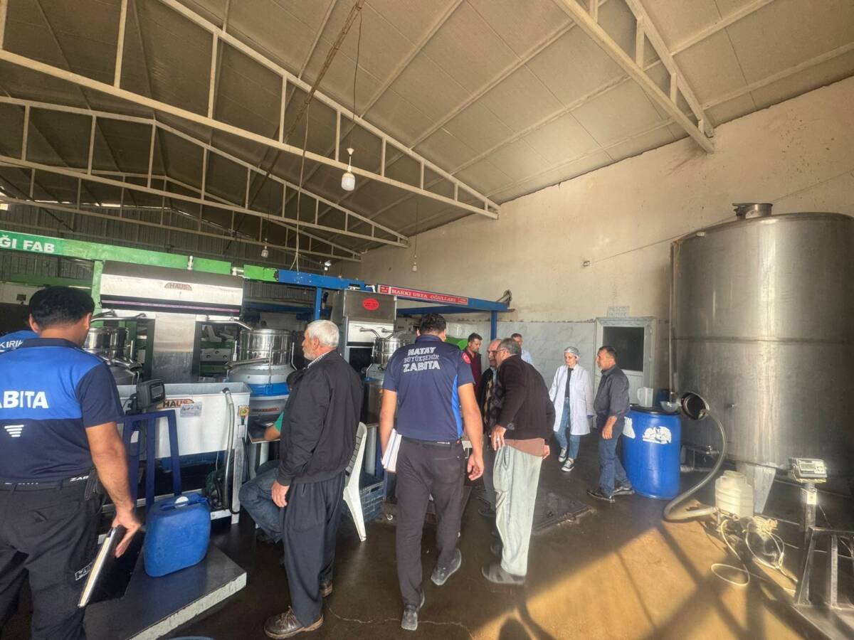 Hatay Büyükşehir Belediyesi (HBB), zeytin hasadı döneminde üretim faaliyetlerindeki artışı