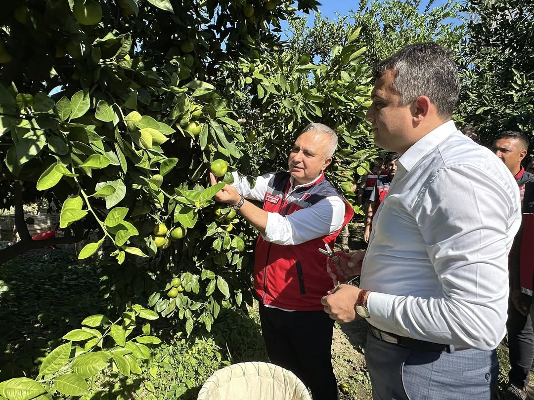 Hatay İl Tarım ve Orman Müdürlüğü tarafından yapılan açıklamada, ilin