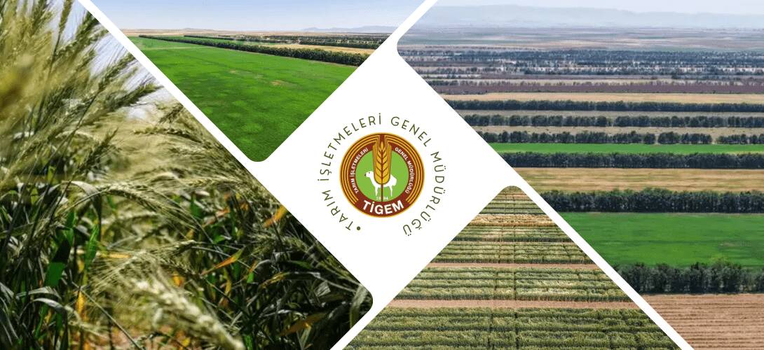 Kısa adı TİGEM olan Tarım İşletmeleri Genel Müdürlüğü, Türkiye genelinde