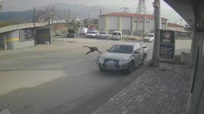 Hatay’ın Dörtyol ilçesinde güvenlik kamerasına yansıyan kazada, motosiklet sürücüsünün yaşadığı