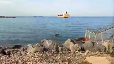 Hatay’ın İskenderun ilçesinde sabah saatlerinde yaşanan ilginç bir kurtarma operasyonu,