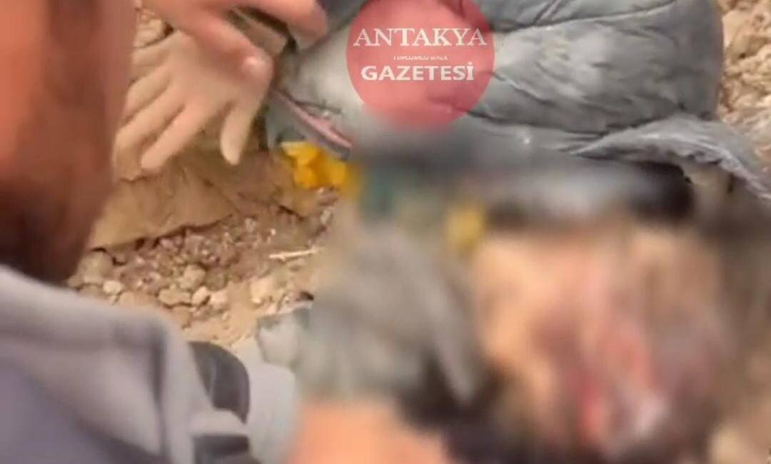 Hatay’ın Reyhanlı ilçesinde kaybolan 10 yaşındaki Suriye uyruklu Amir Alcedduh’un