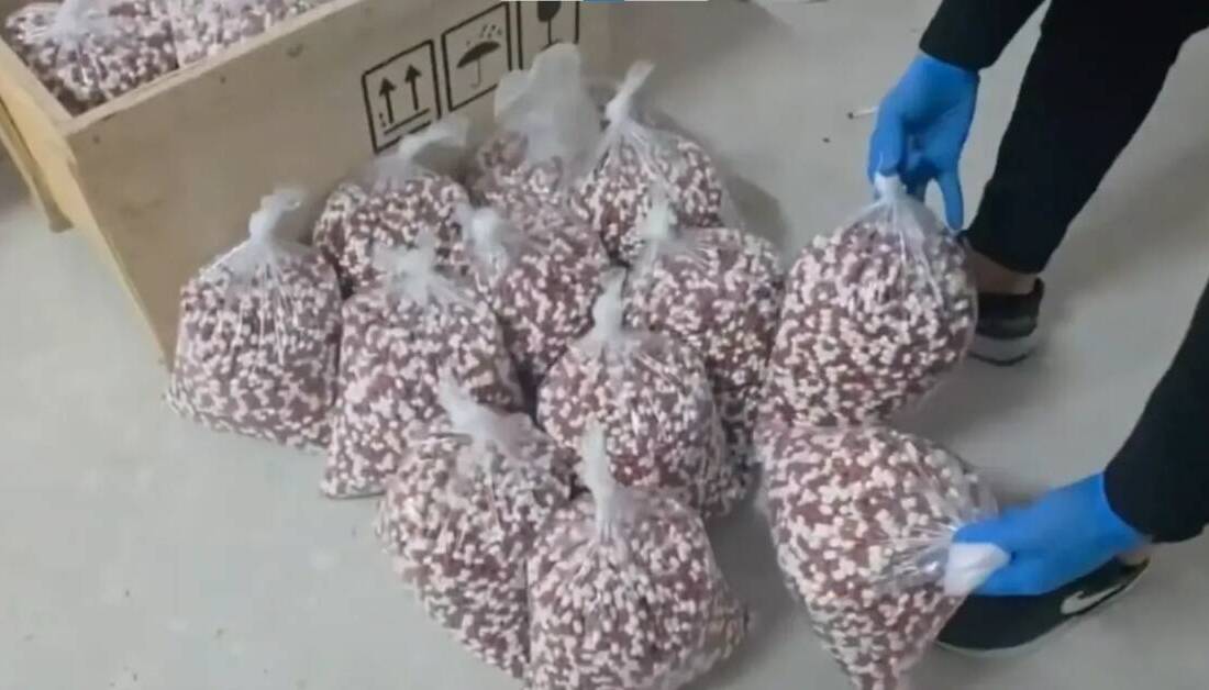 Uyuşturucuya darbe haftası: Binlerce personel, yüzlerce gözaltı İçişleri Bakanı Ali Yerlikaya, son bir haftada 72 ilde uyuşturucu