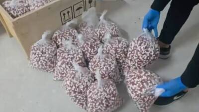 Uyuşturucuya darbe haftası: Binlerce personel, yüzlerce gözaltı İçişleri Bakanı Ali Yerlikaya, son bir haftada 72 ilde uyuşturucu