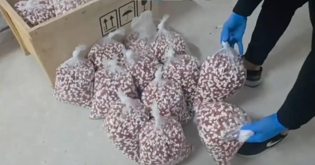 İçişleri Bakanı Ali Yerlikaya, son bir haftada 72 ilde uyuşturucu