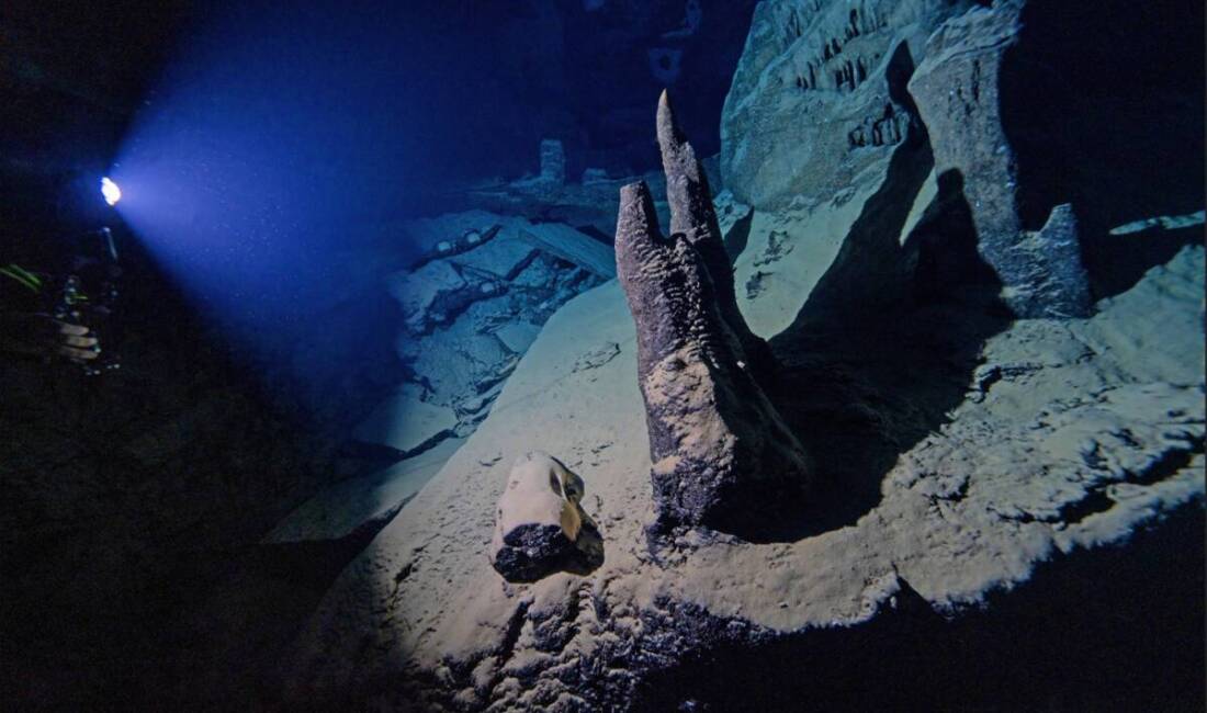 Dalgıçlar Hatay’da saklı dünyayı kayda aldı Doğu Akdeniz’deki biyolojik çeşitliliği belgelemek amacıyla Hatay’da bir araya gelen